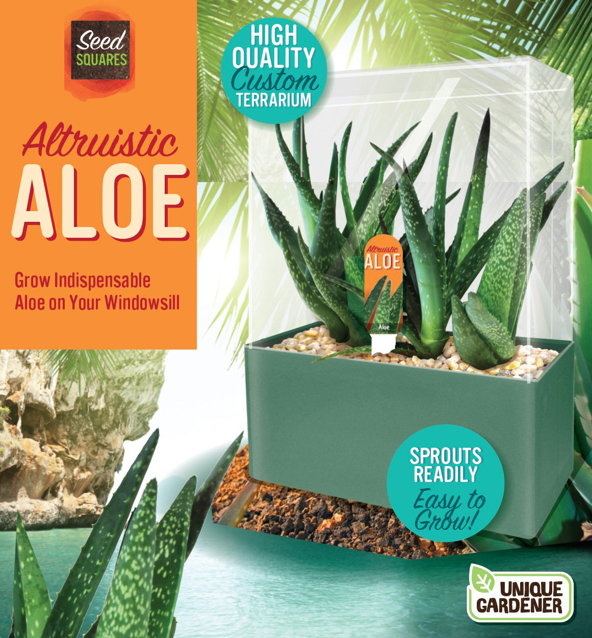 organic aloe vera plant seeds Unique Gardener Seed Squares