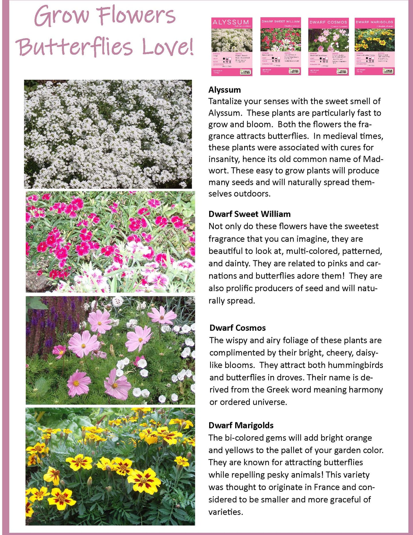 Bountiful Butterfly Garden Biosphere Terrarium