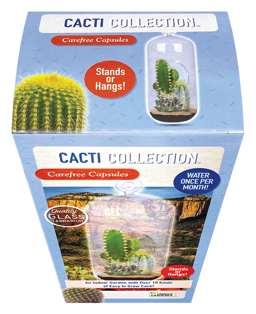 Cacti Collection Glass Terrarium Seed Starting Kit