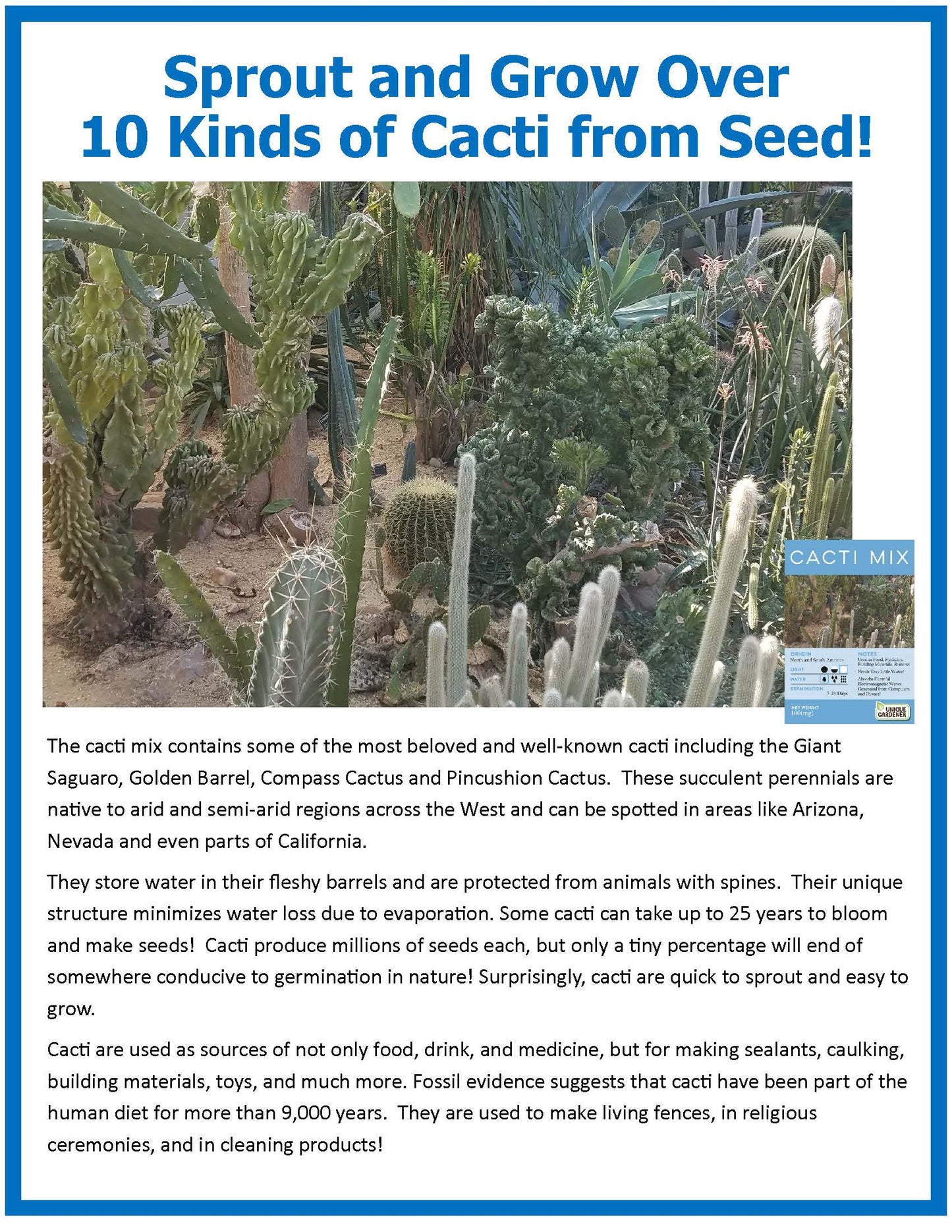 Desert Plant Collection Mini World Terrarium