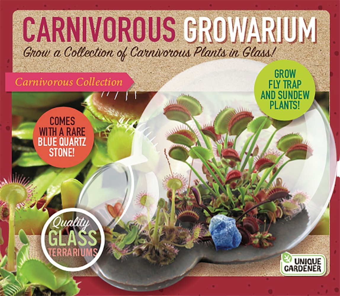 carnivorous plant seeds sale Carnivorous Growarium Glass Terrarium