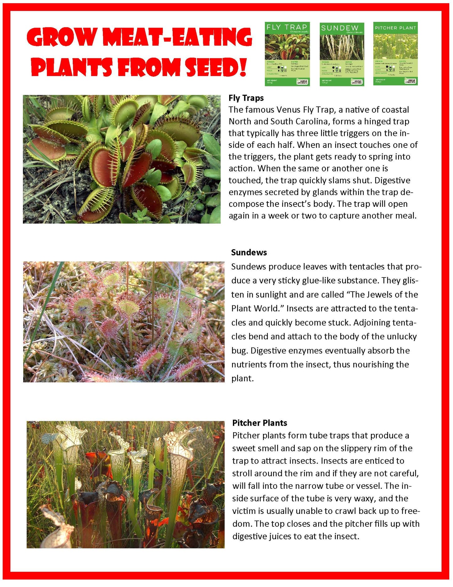 Carnivorous Creatures Biosphere Terrarium