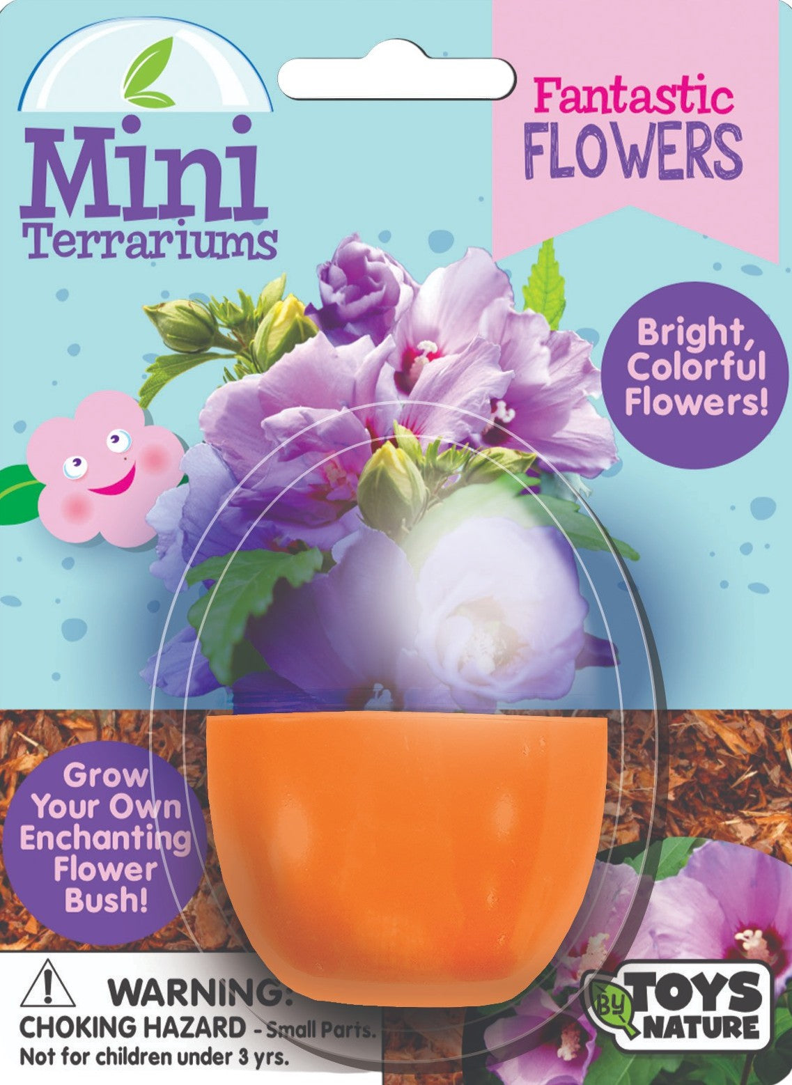 Flowering Mini Terrarium Bundle - 2 Each of 3 Varieties