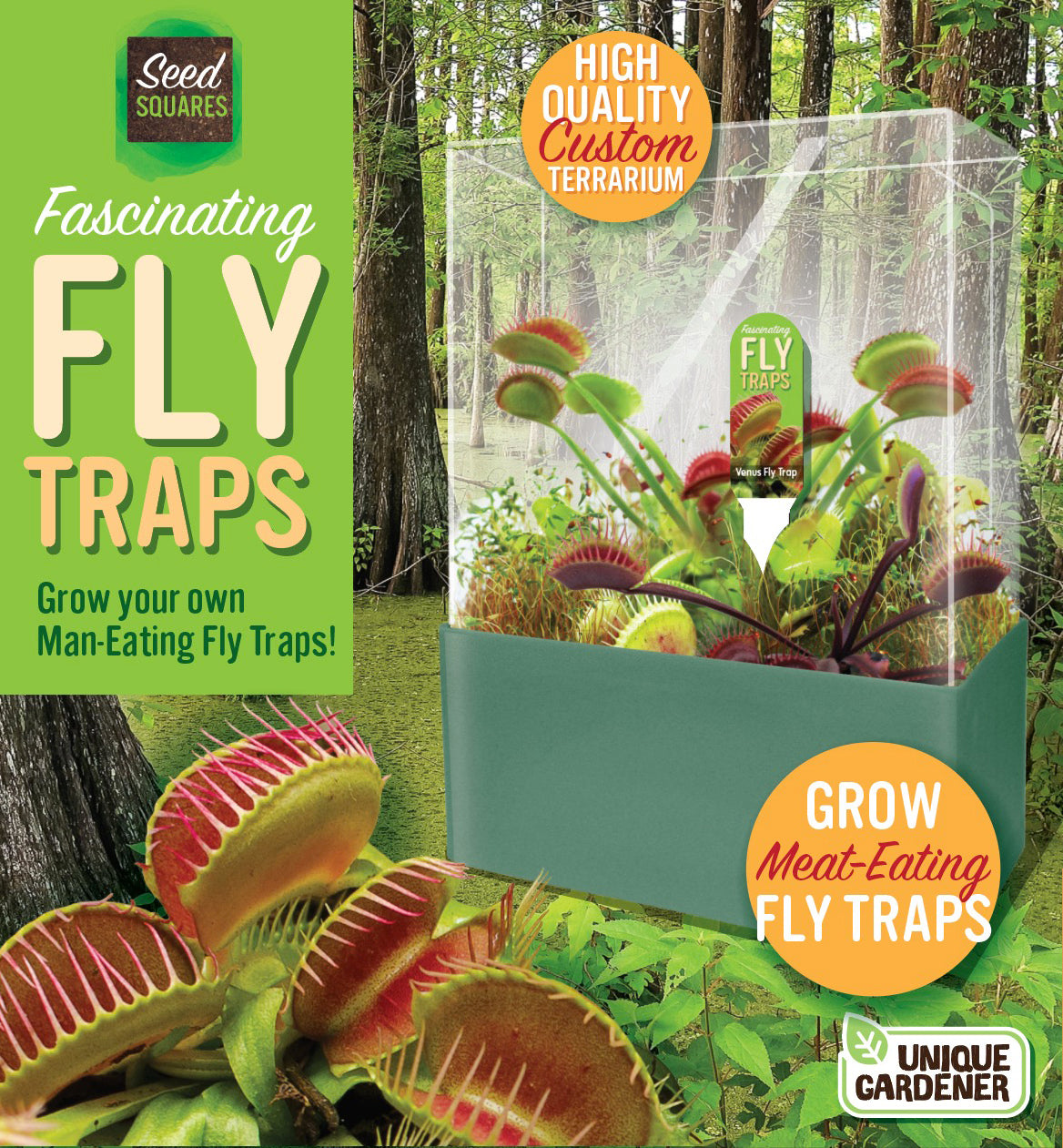 outsidepride venus flytrap plant seed Fascinating Fly Traps
