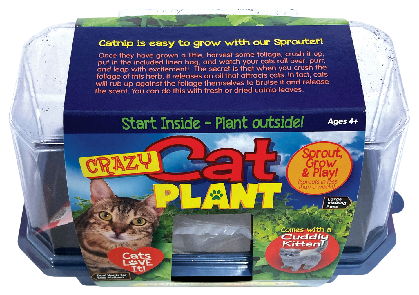Crazy Cat Plant Mini World Terrarium