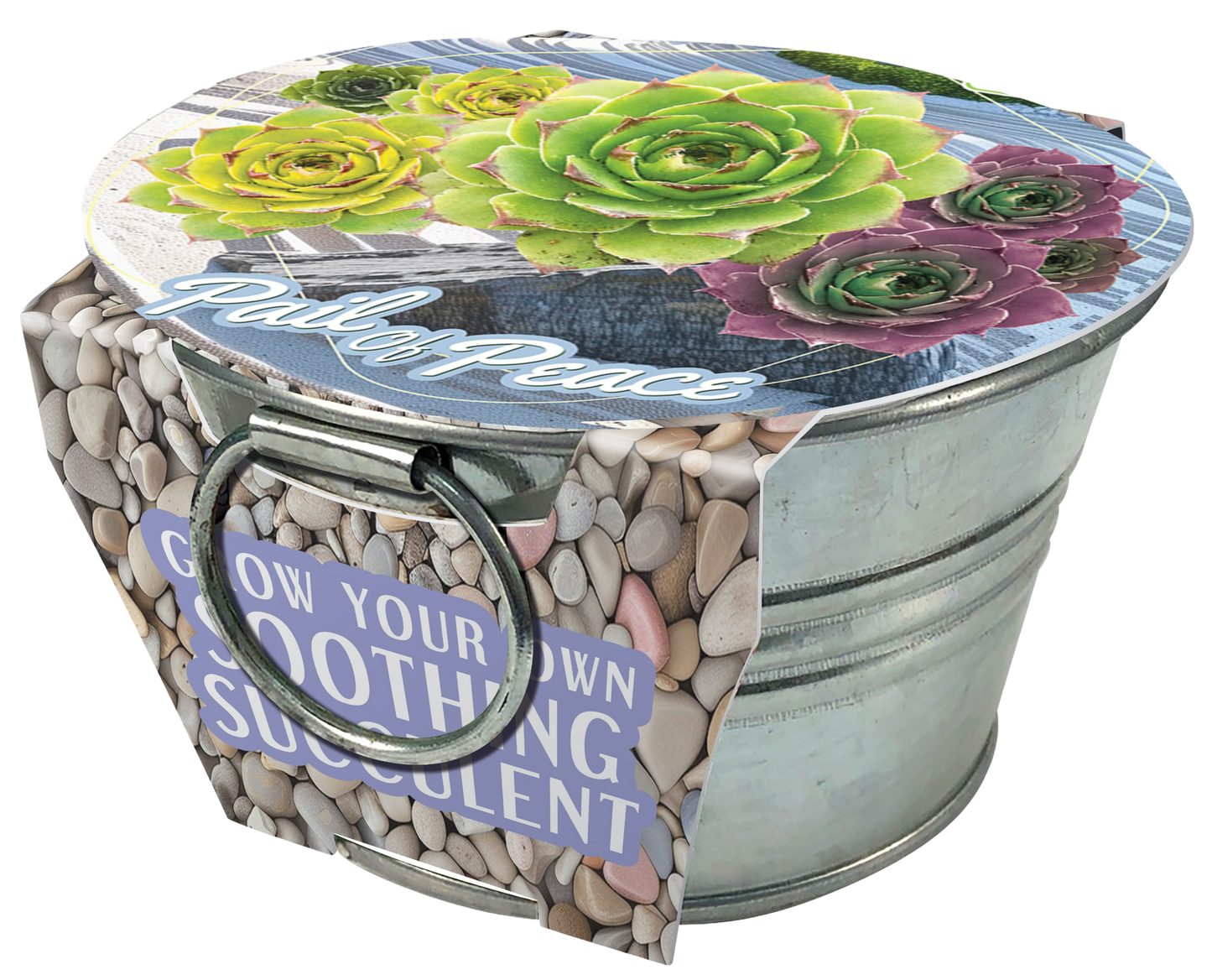 Flowering Tin Garden Variety Pack - 1 Each of 3 Varieties