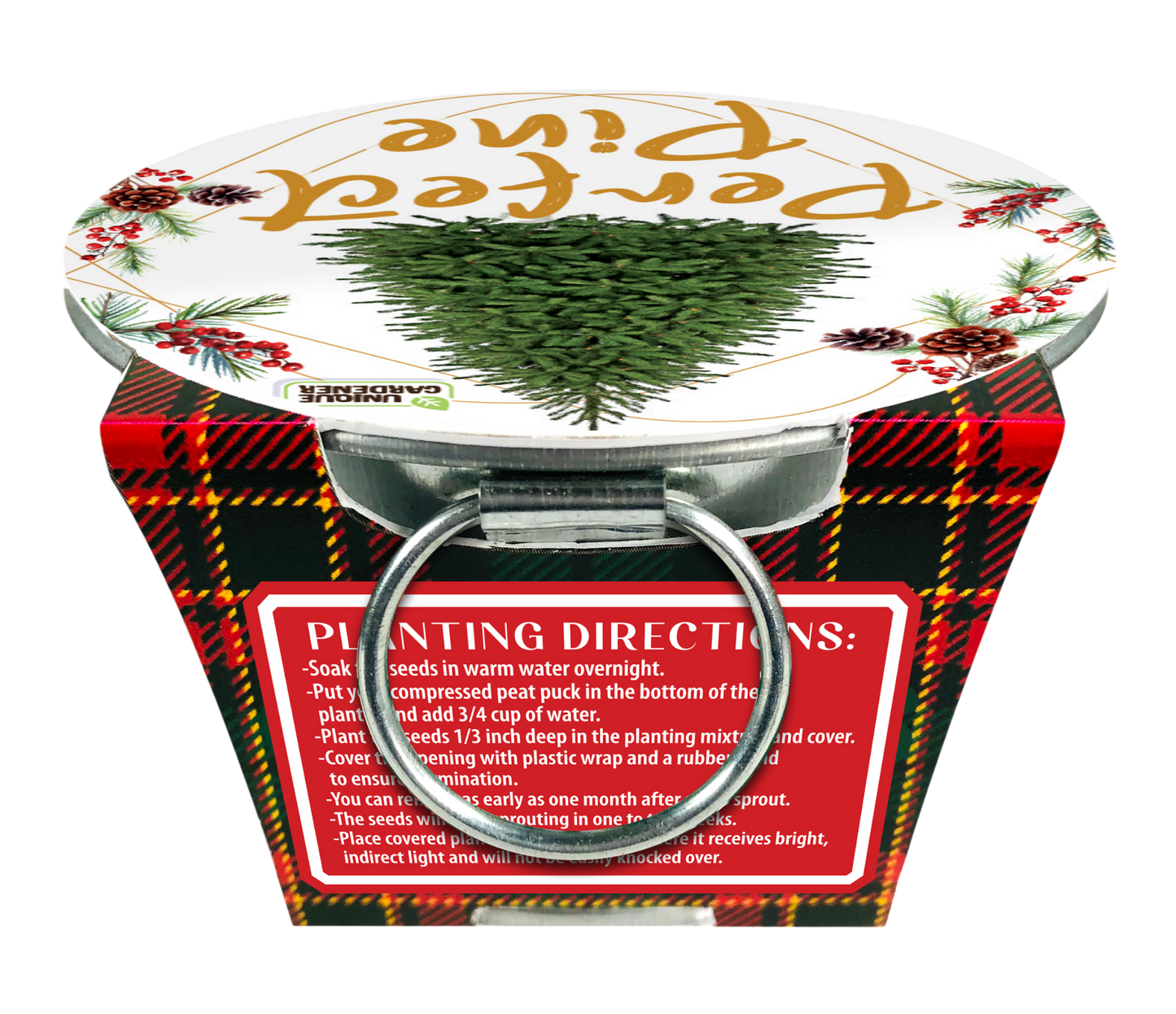 Perfect Pine - Grow Your Own Christmas Tree Multipack of 3