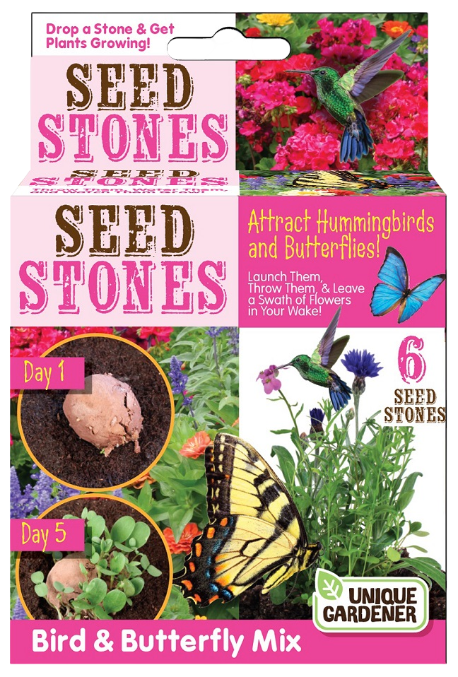 Seed Stones Bird and Butterfly - Multipack of 4