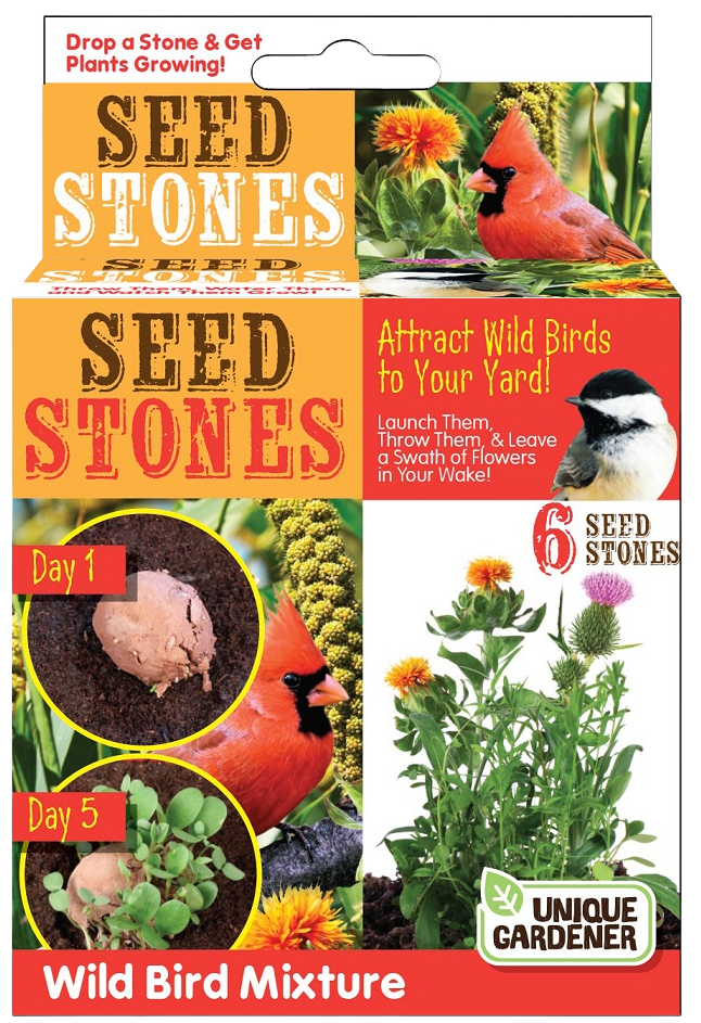 Seed Stones Variety Pack - 1 Each of 4 Varieties