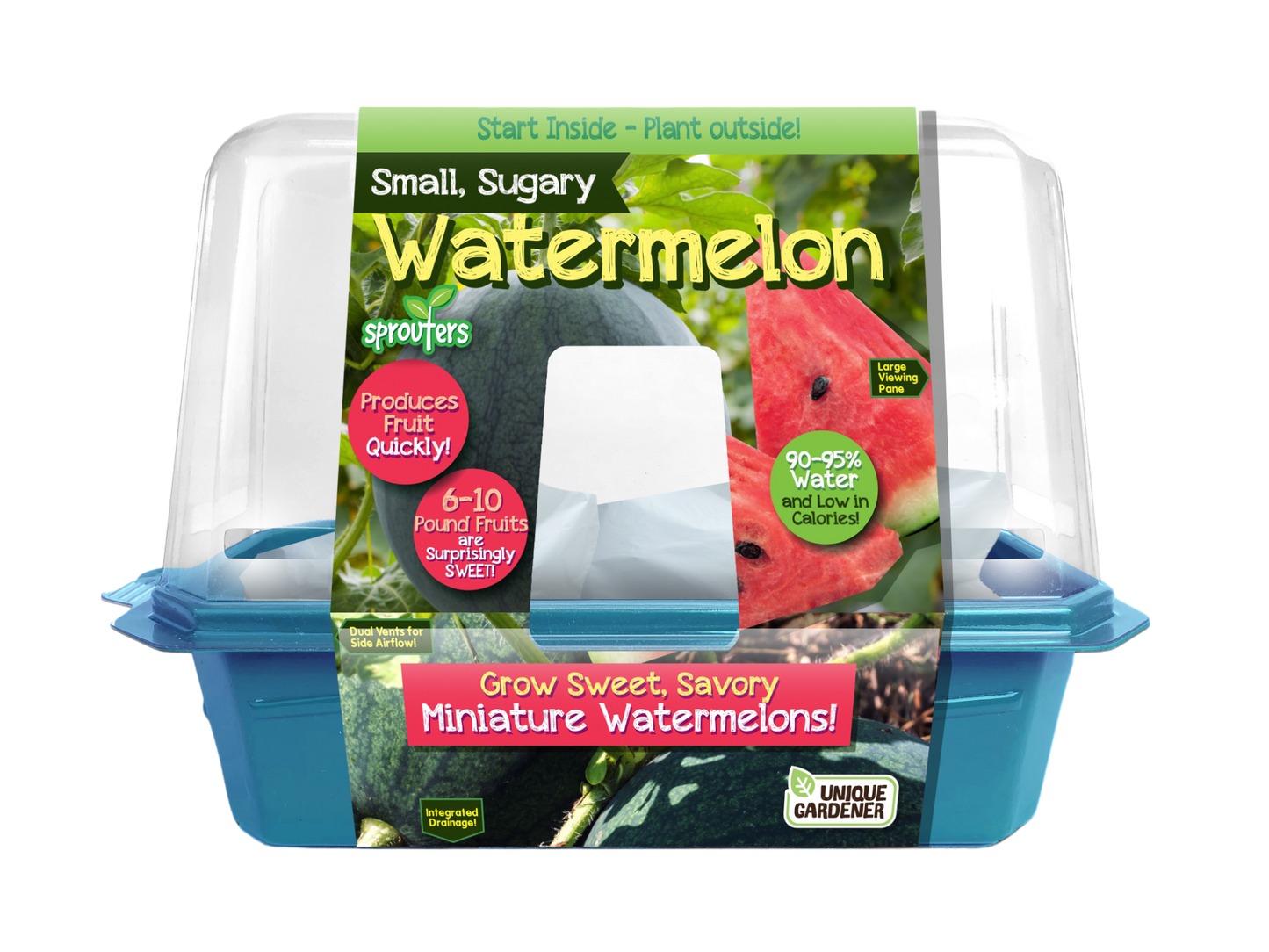 Small, Sugary Watermelon Sprouter Terrarium