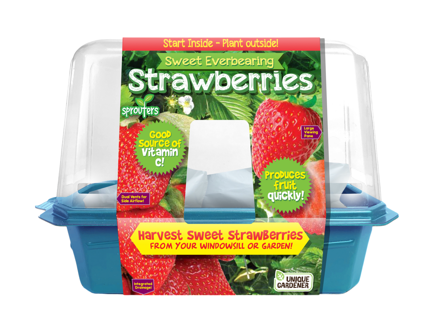 Sweet Everbearing Strawberries Sprouter Terrarium
