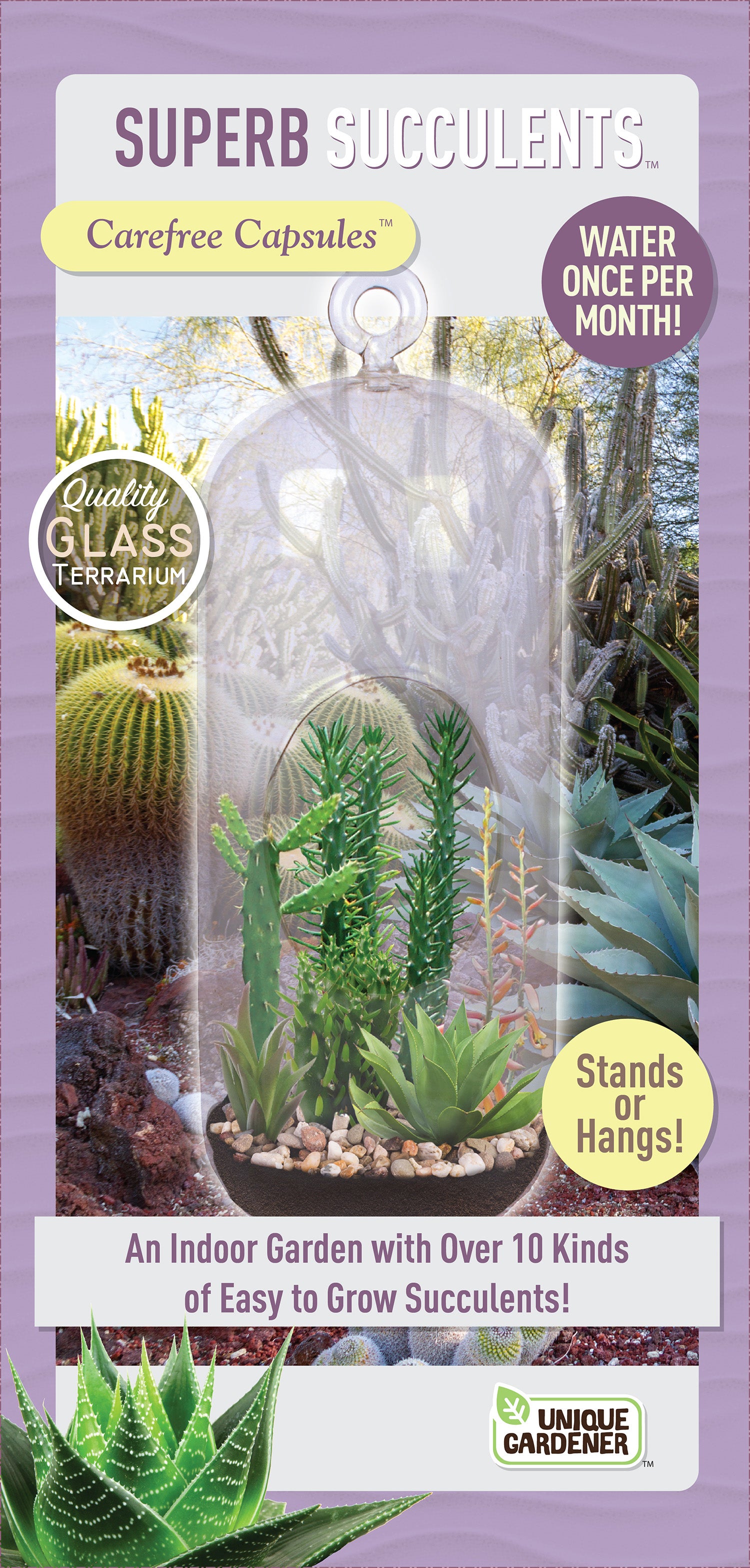 grow succulents from seed Superb Succulents Glass Terrarium Seed Starting Kit – Unique Gardener