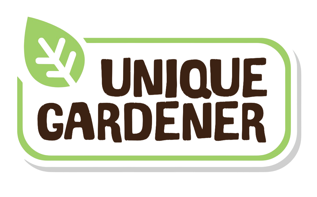 Grow Your Own Peanuts Sprouter Terrarium