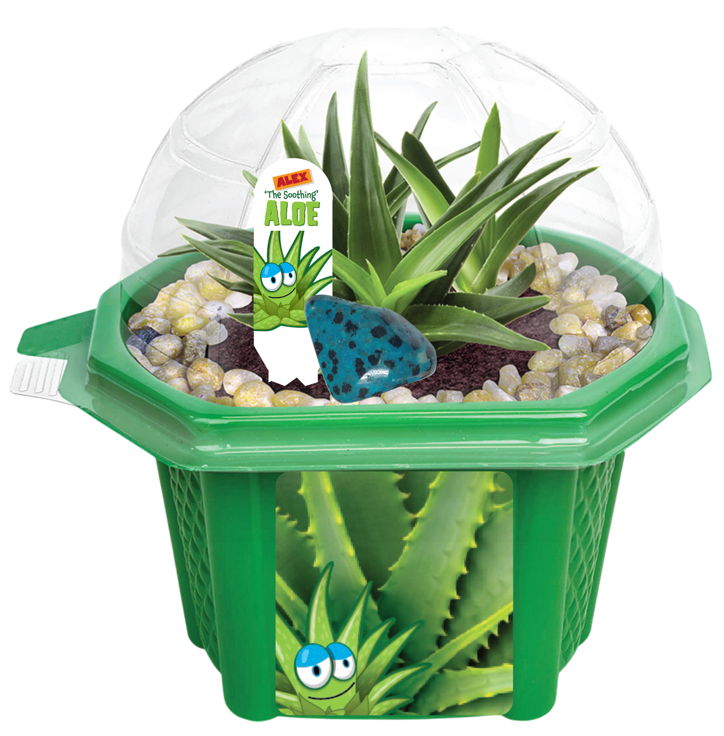 Alex 'The Soothing' Aloe Micro Dome Terrarium