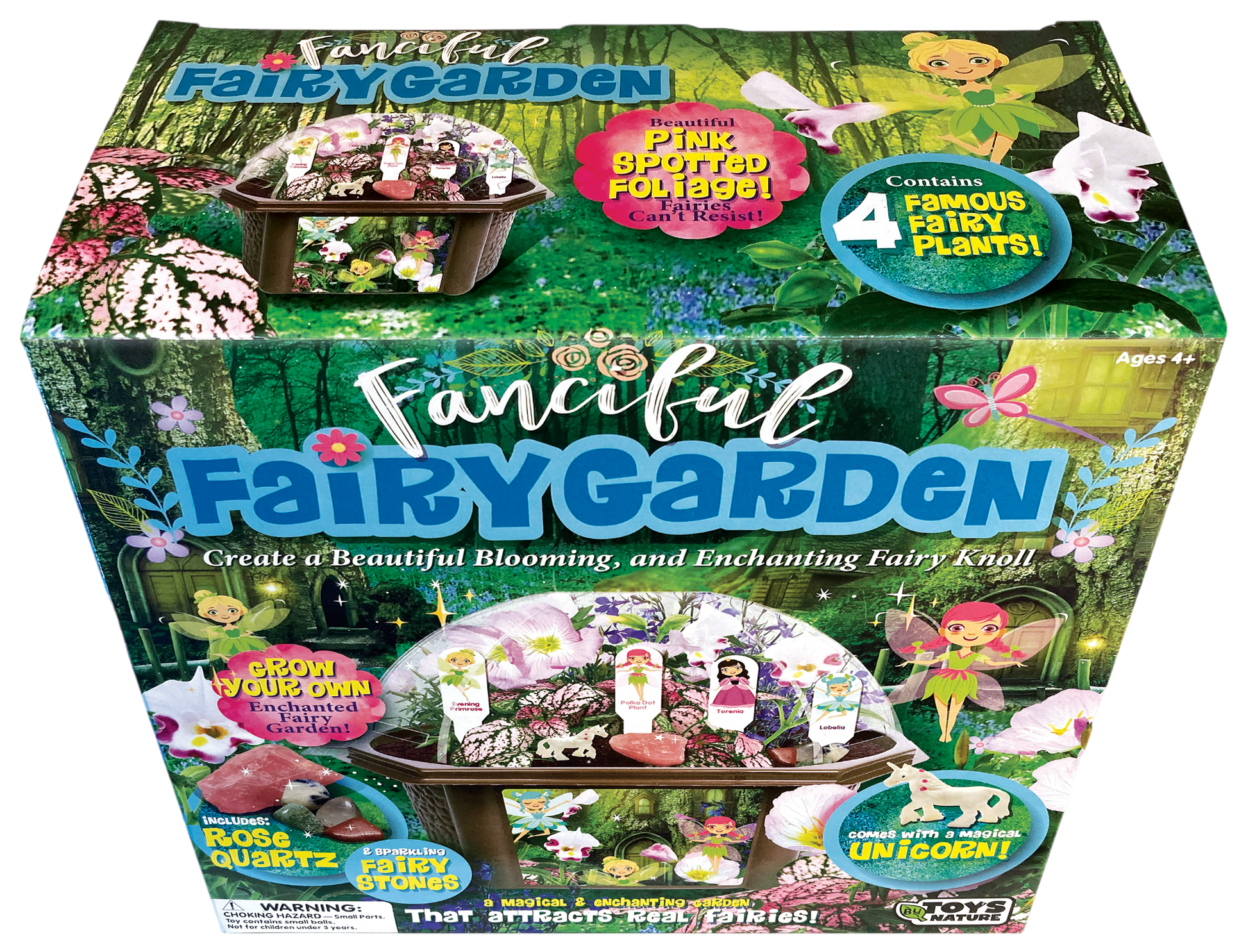 fairy garden seed kit Biosphere Terrarium