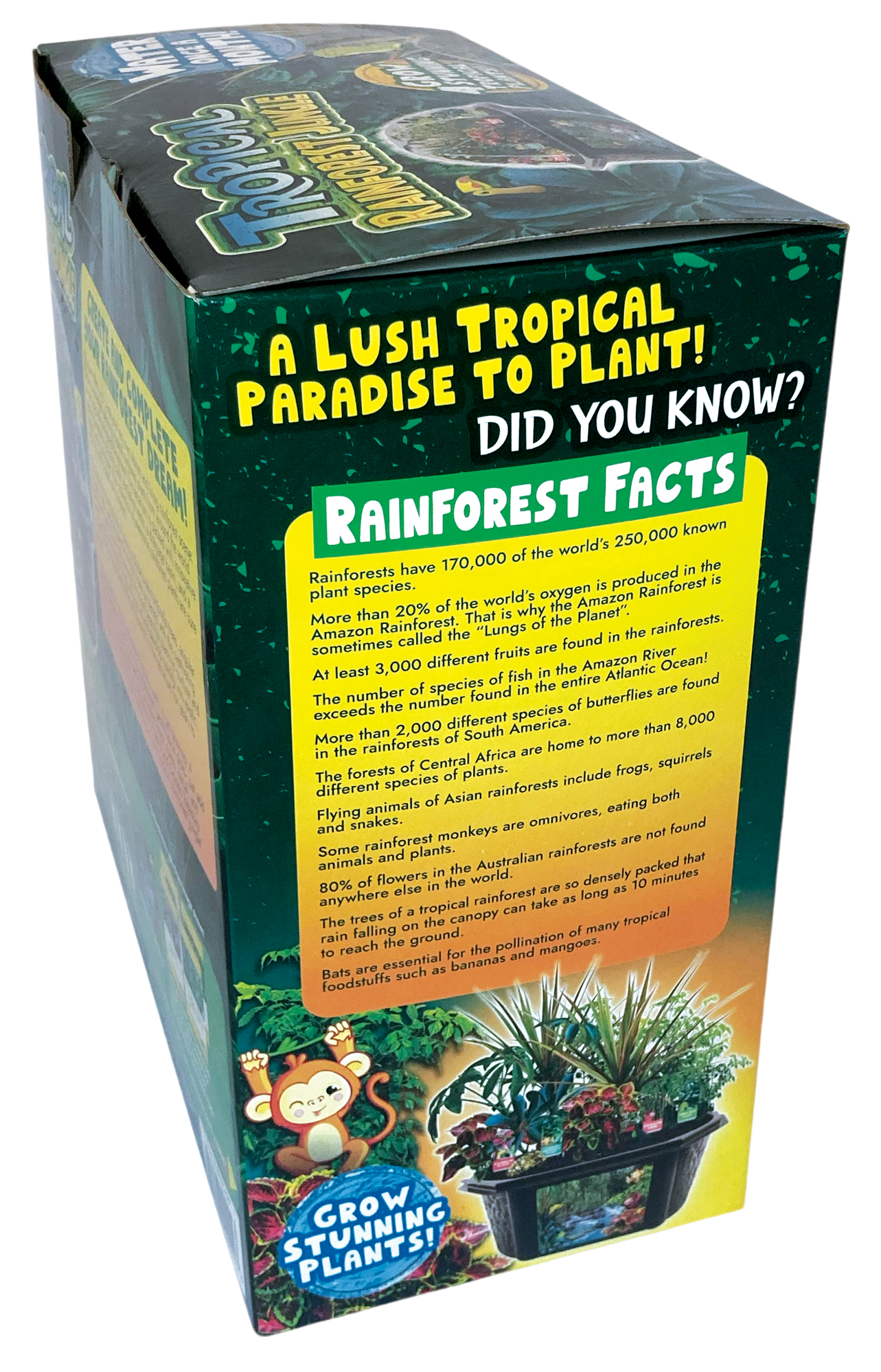 tropical terrarium plants for sale Biosphere Terrarium