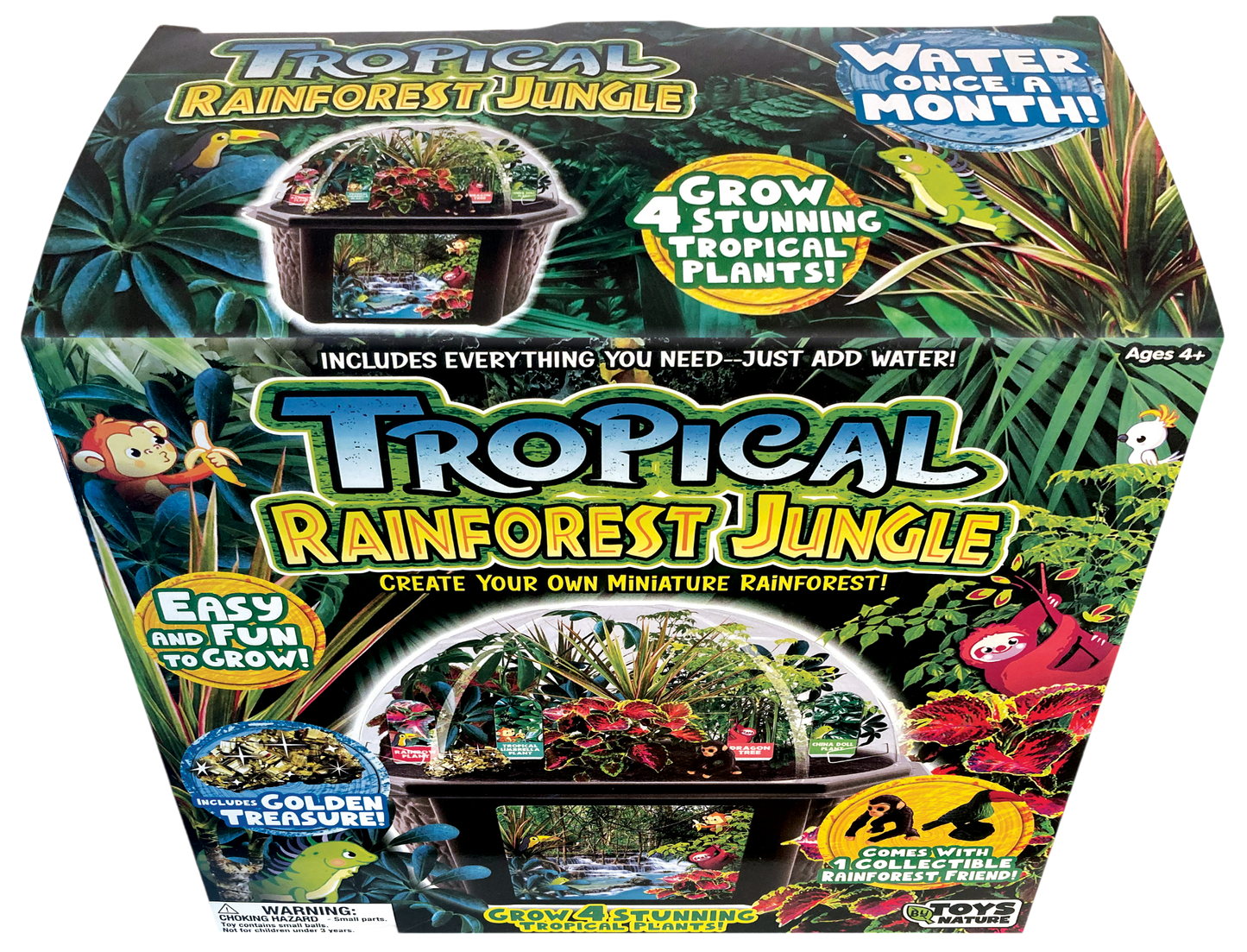 Tropical Rainforest Jungle Biosphere Terrarium