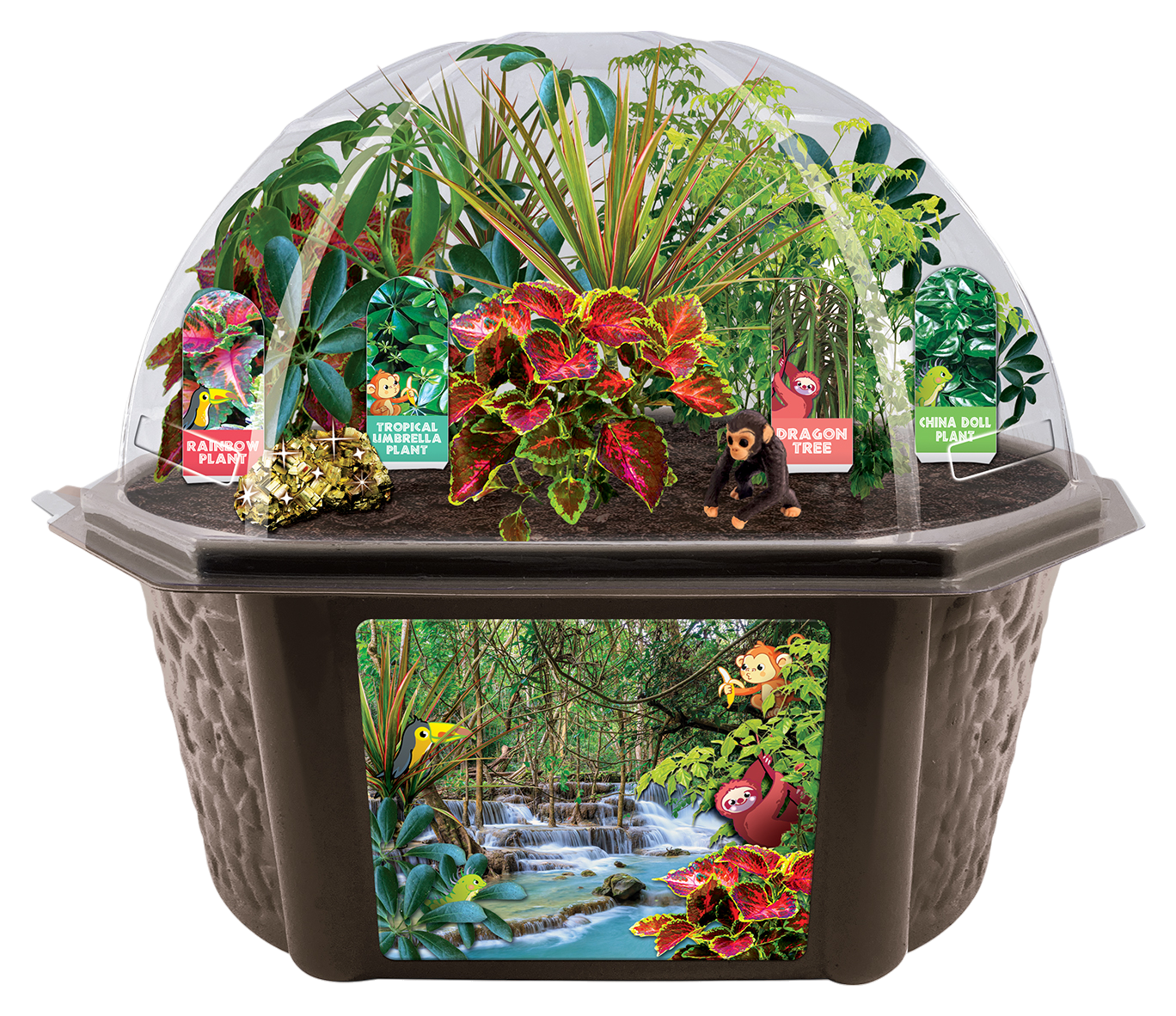 Tropical Rainforest Jungle Biosphere Terrarium