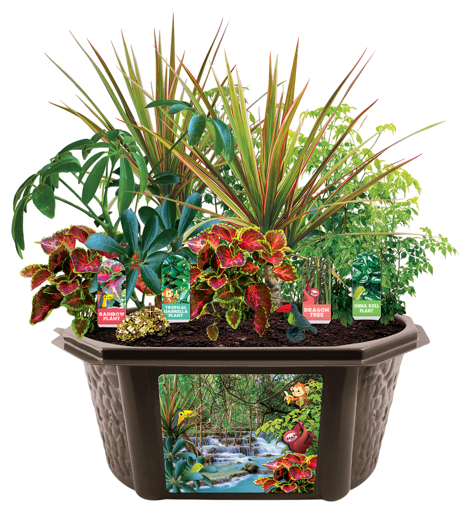 terrarium for tropical plants Biosphere Terrarium