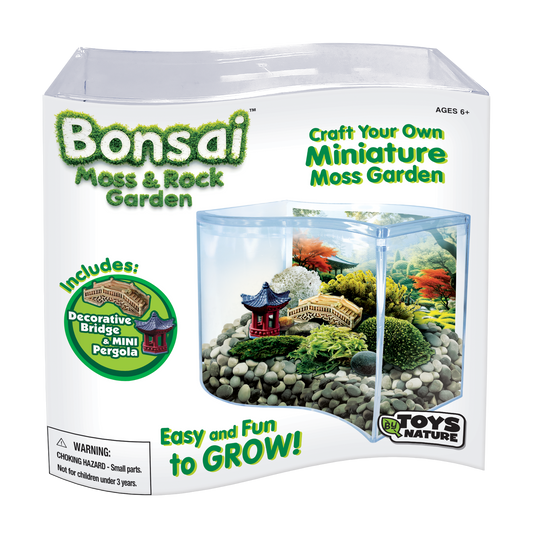 Bonsai Moss & Rock Garden Wave Terrarium