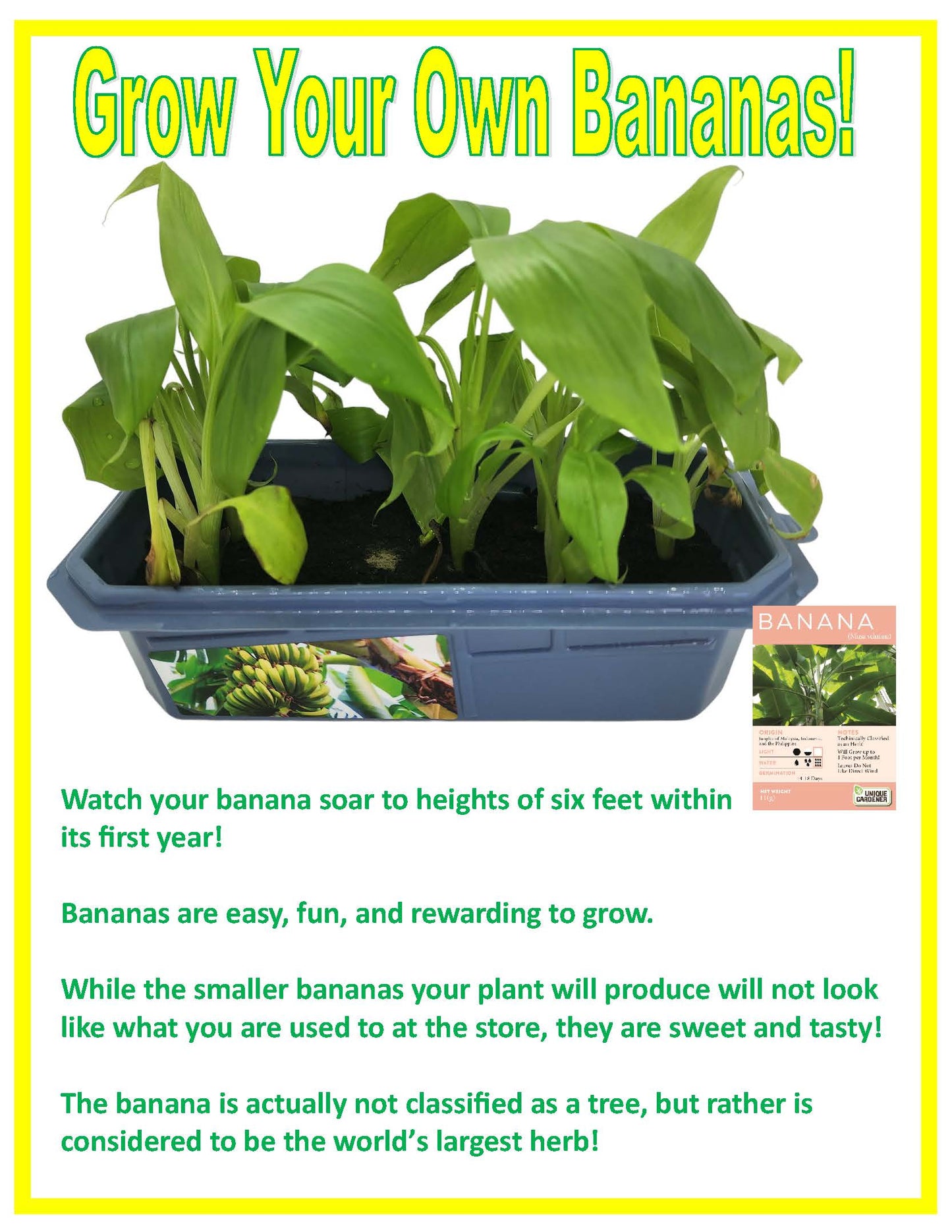 Bountiful Bananas Sprouter Terrarium