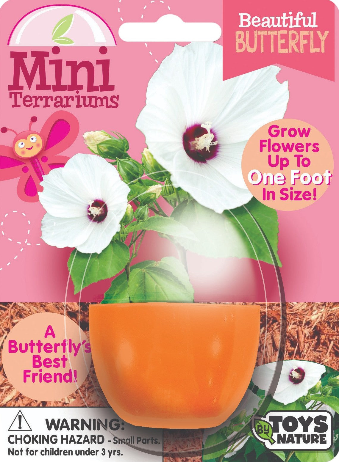 Flowering Mini Terrarium Bundle - 2 Each of 3 Varieties