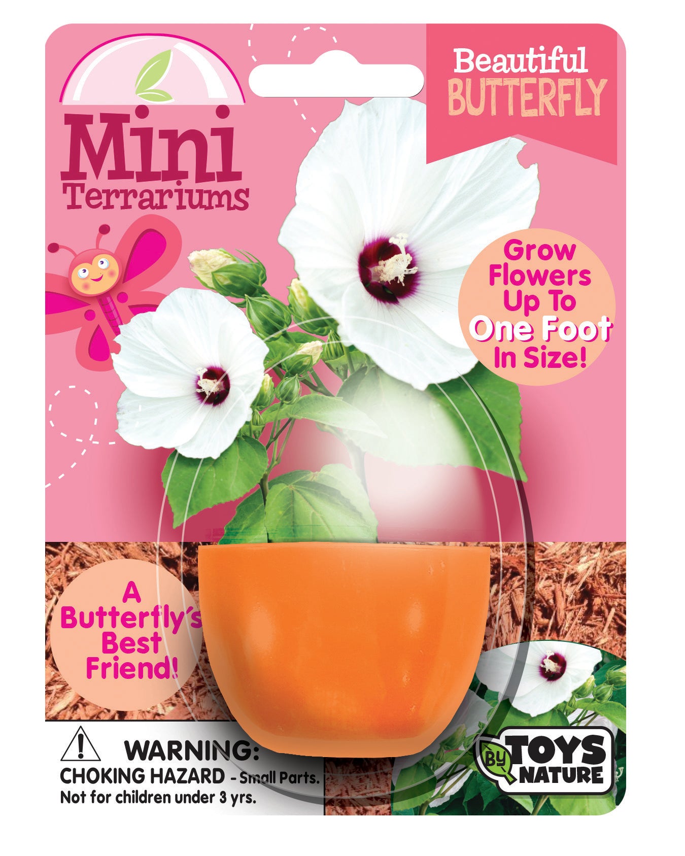 Mini Terrarium Bundle - 1 Each of 7 Varieties