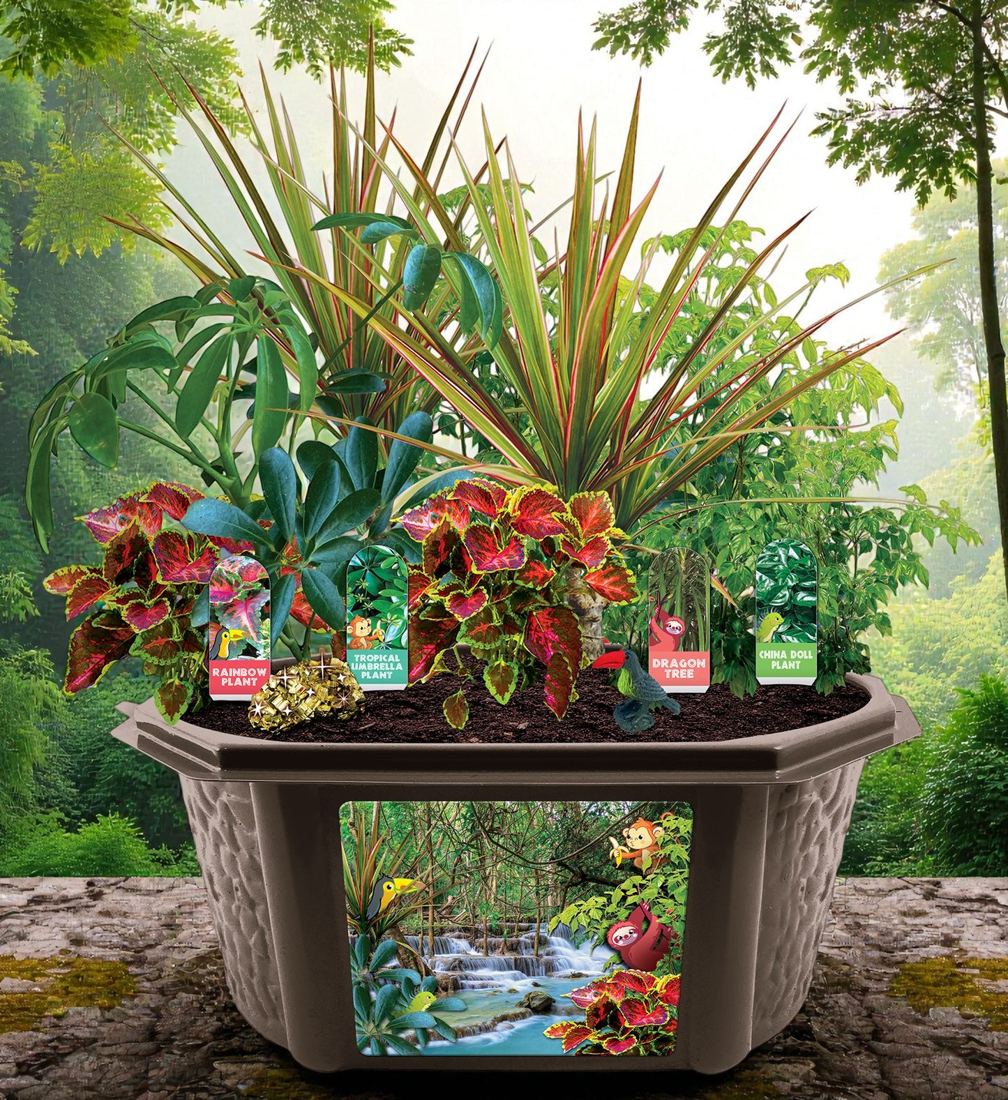 black jungle terrarium plants Biosphere Terrarium