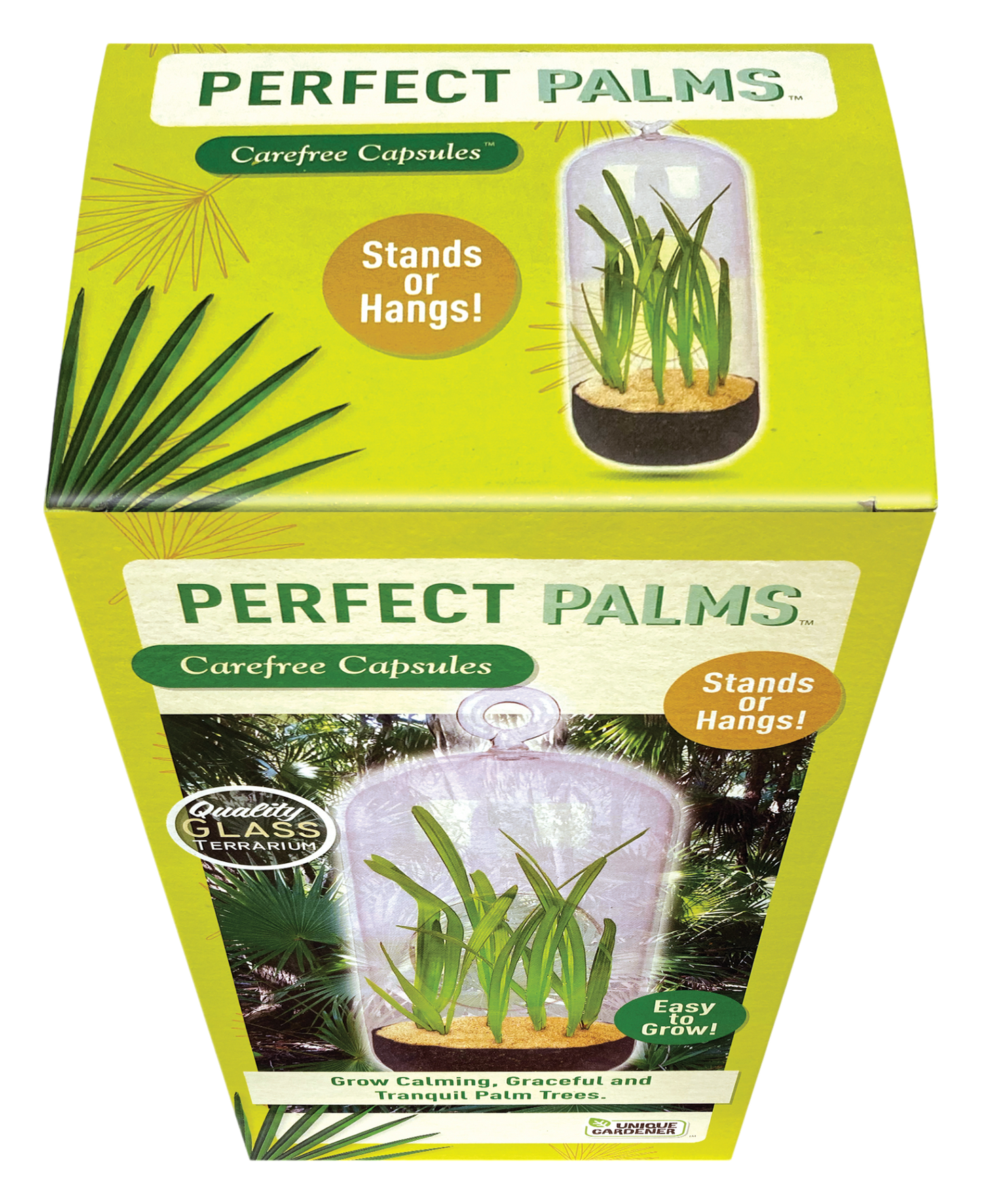 Perfect Palms Glass Terrarium Seed Starting Kit