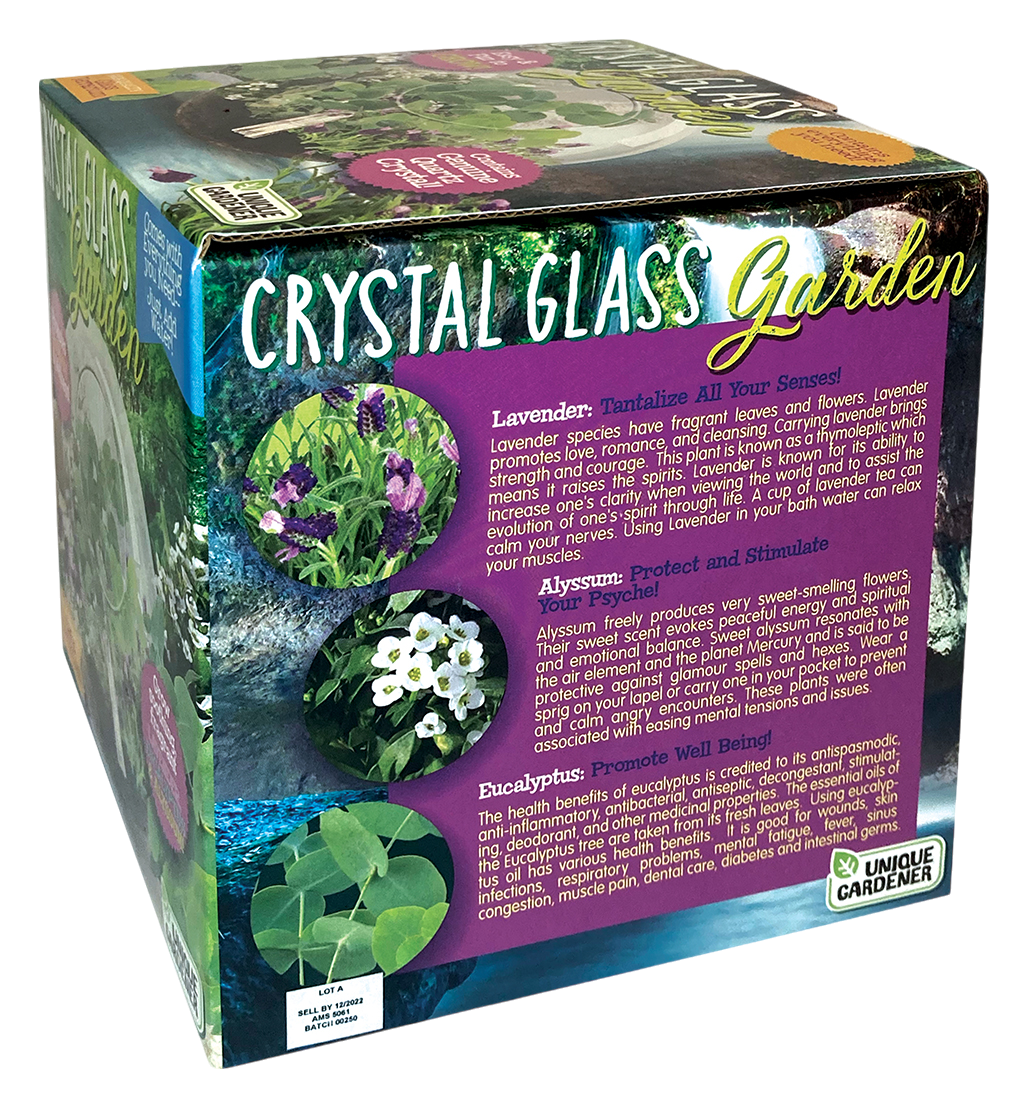 Crystal Glass Garden Seed Starting Terrarium