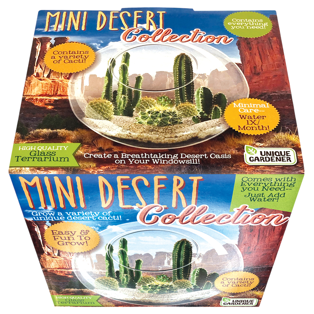 Mini Desert Collection Glass Terrarium Cacti Seed Starting Kit