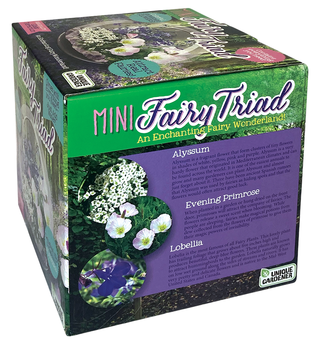 Fairy Triad Glass Terrarium Seed Starting Kit