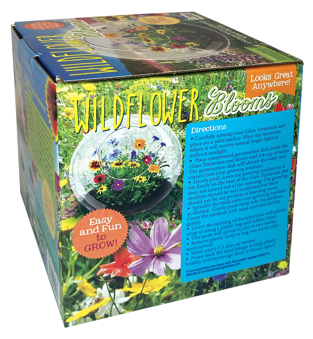 wildflower seeds box Wildflower Blooms Glass Terrarium Seed Starting Kit – Unique Gardener