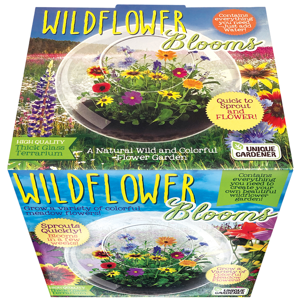 flower seeds that sprout quickly Wildflower Blooms Glass Terrarium Seed Starting Kit – Unique Gardener
