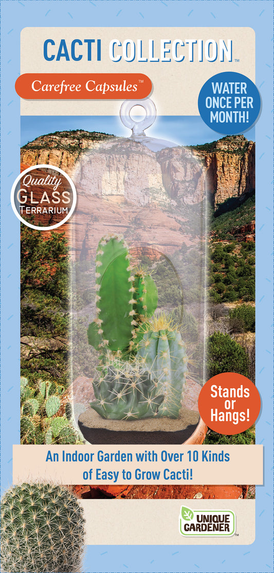 Cacti Collection Glass Terrarium Seed Starting Kit