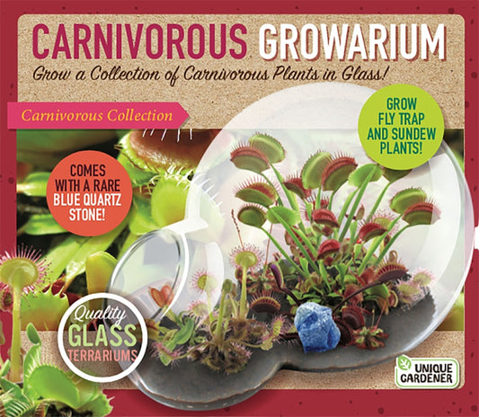 Carnivorous Growarium Meat-Eating Seed Terrarium Kit