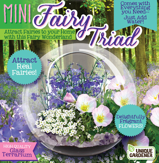 Fairy Triad Glass Terrarium Seed Starting Kit