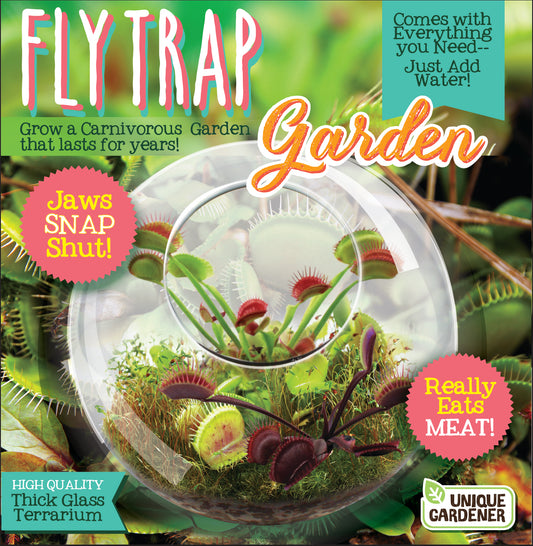 Flytrap Garden Glass Terrarium Seed Starting Kit