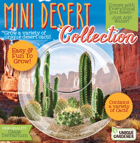 Mini Desert Collection Glass Terrarium Cacti Seed Starting Kit