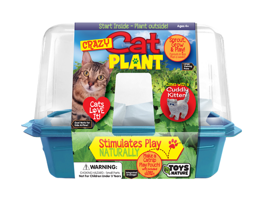 Crazy Cat Plant Mini World Terrarium