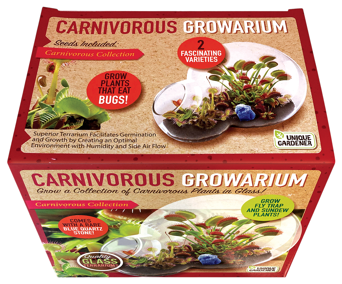 carnivorous plant terrarium kit Carnivorous Growarium Glass Terrarium