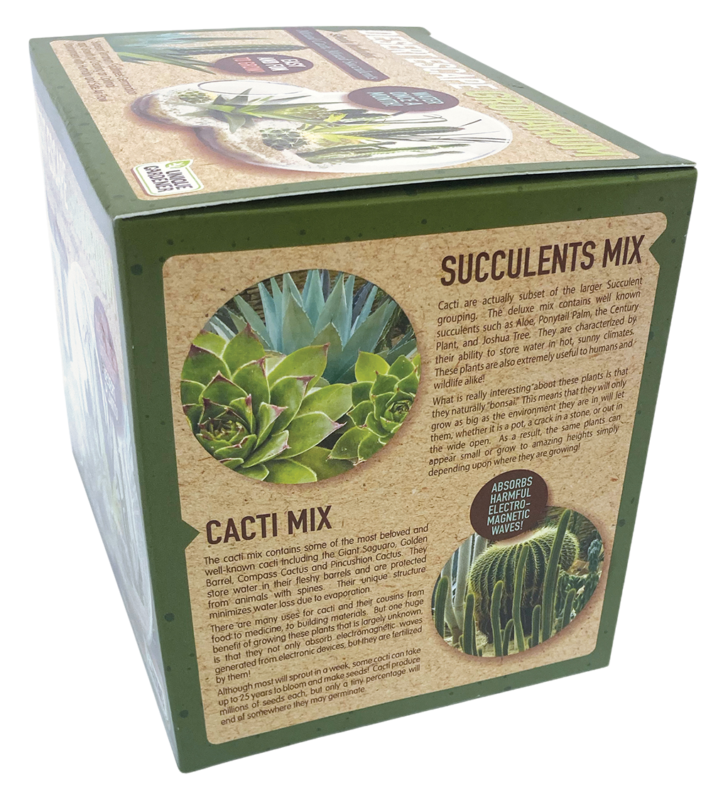 succulent seed kit Desert Escape Growarium Glass Terrarium