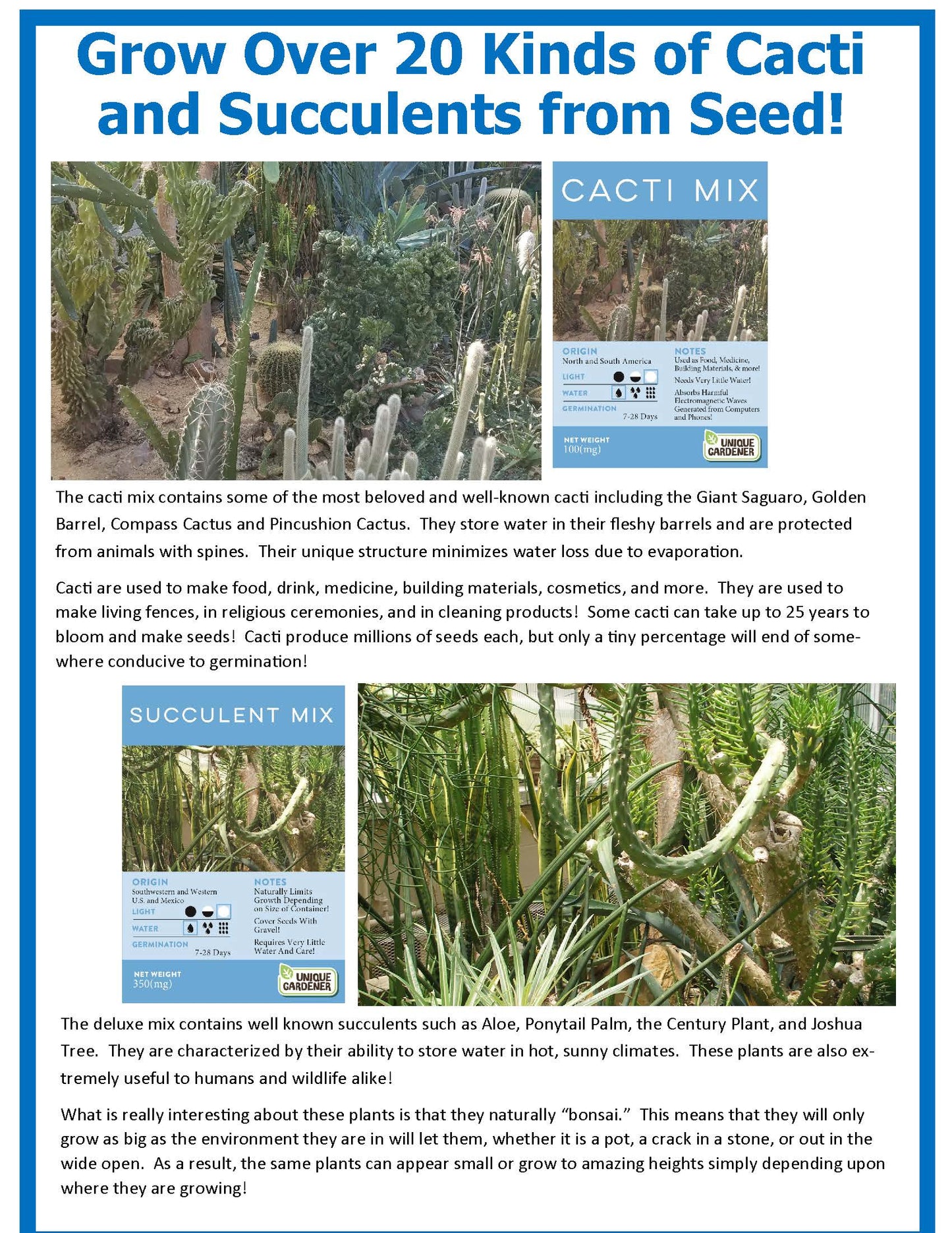 desert escape succulent care Desert Escape Growarium Succulent and Cacti Seed Terrarium Kit – Unique Gardener