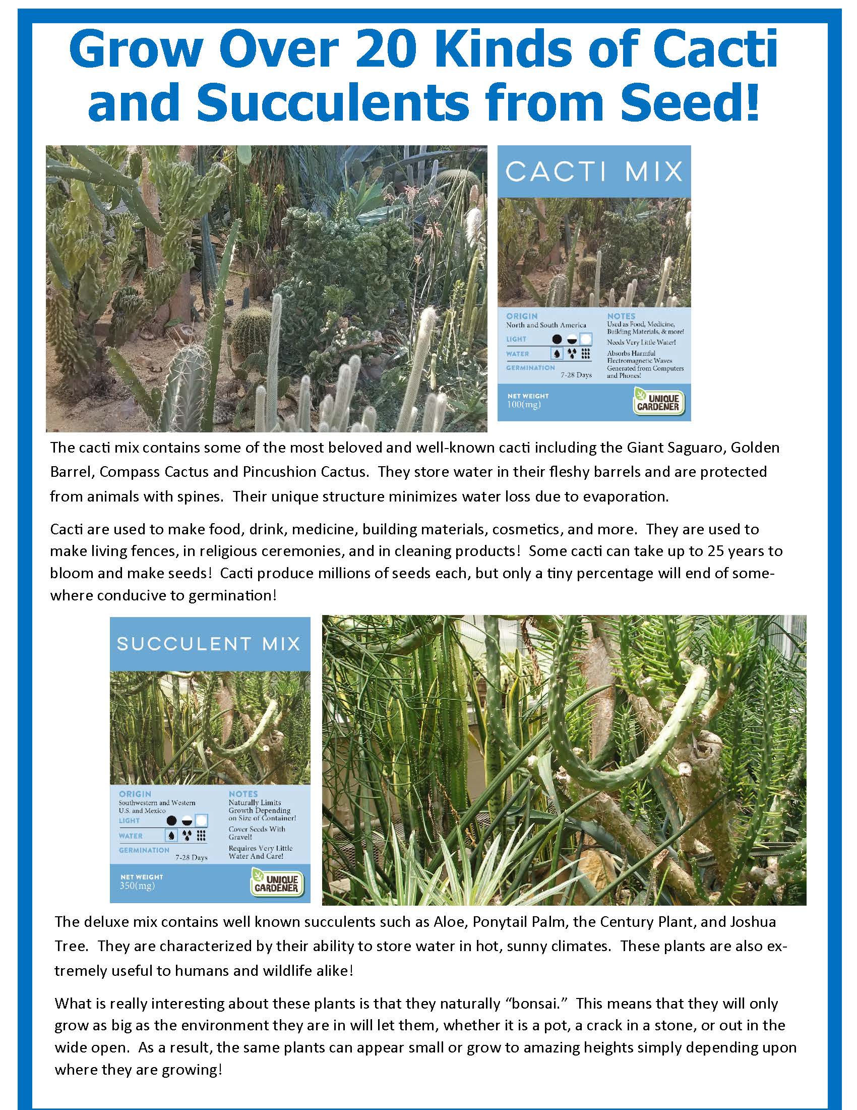 desert escape succulents and cacti Desert Escape Growarium Glass Terrarium
