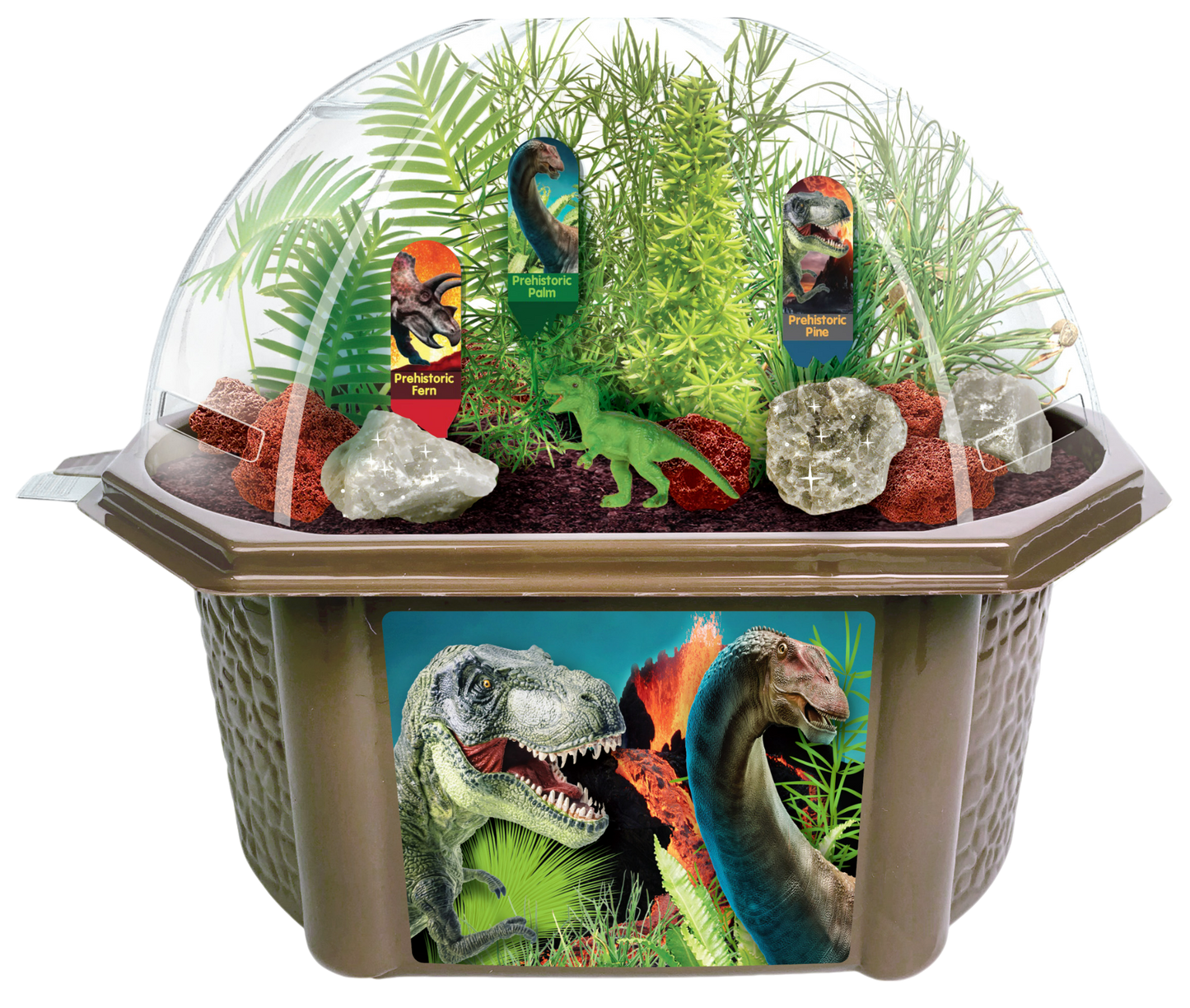 Dinosaur Domain Biosphere Terrarium