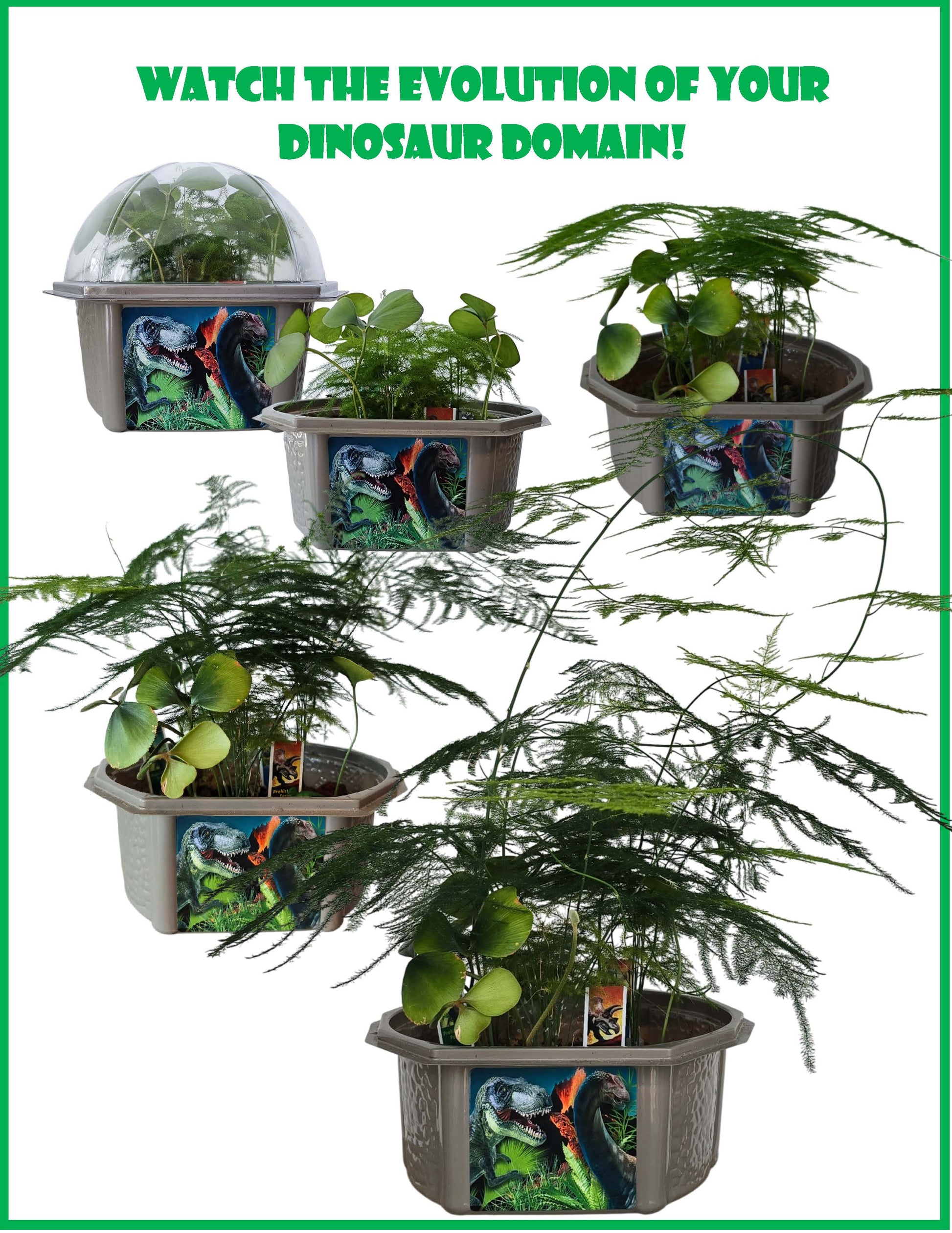 dinosaur self watering plant Dinosaur Domain Biosphere Terrarium – Unique Gardener