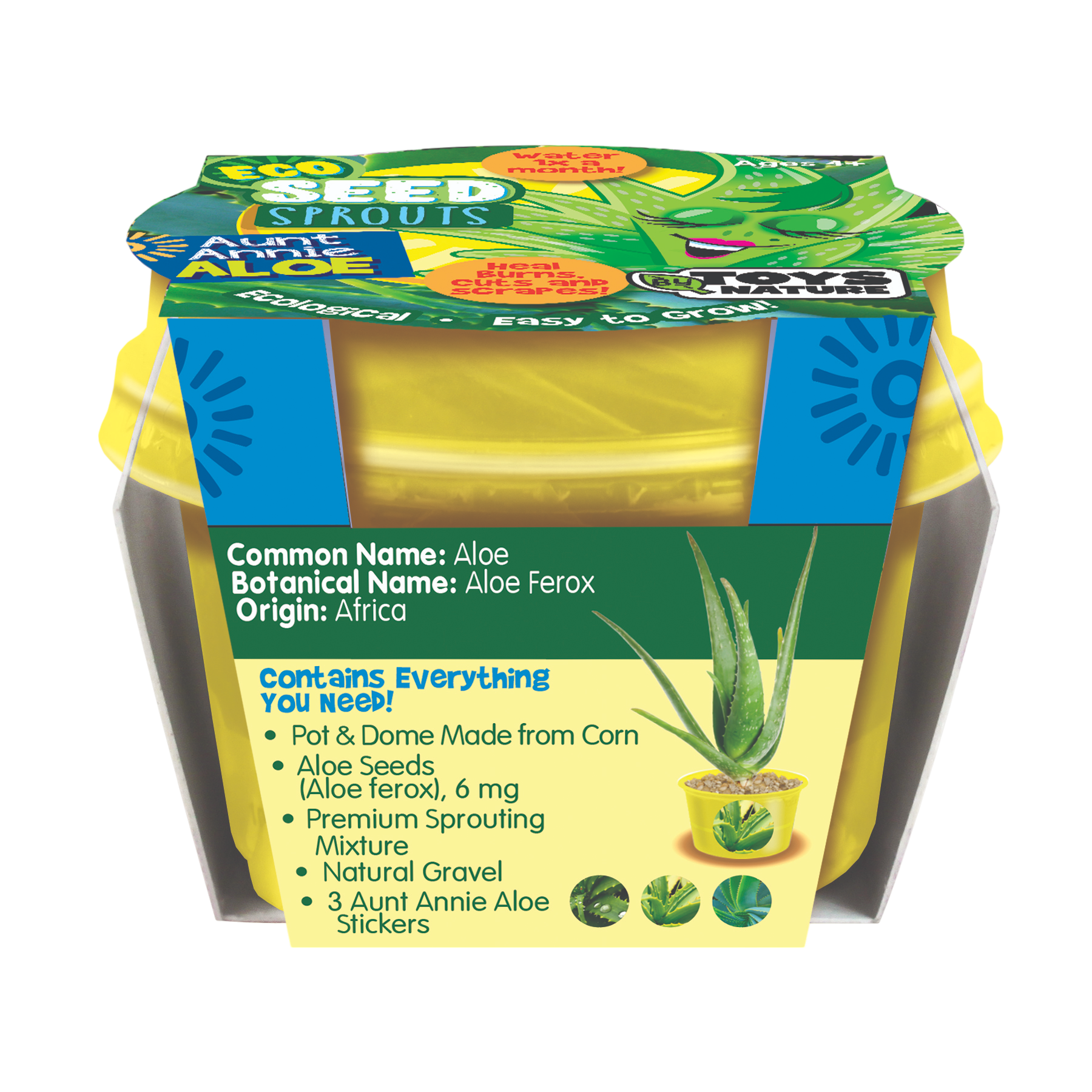eco plant seeds Eco Seed Sprouts 6 Variety Assortment Pack – 1 of Each