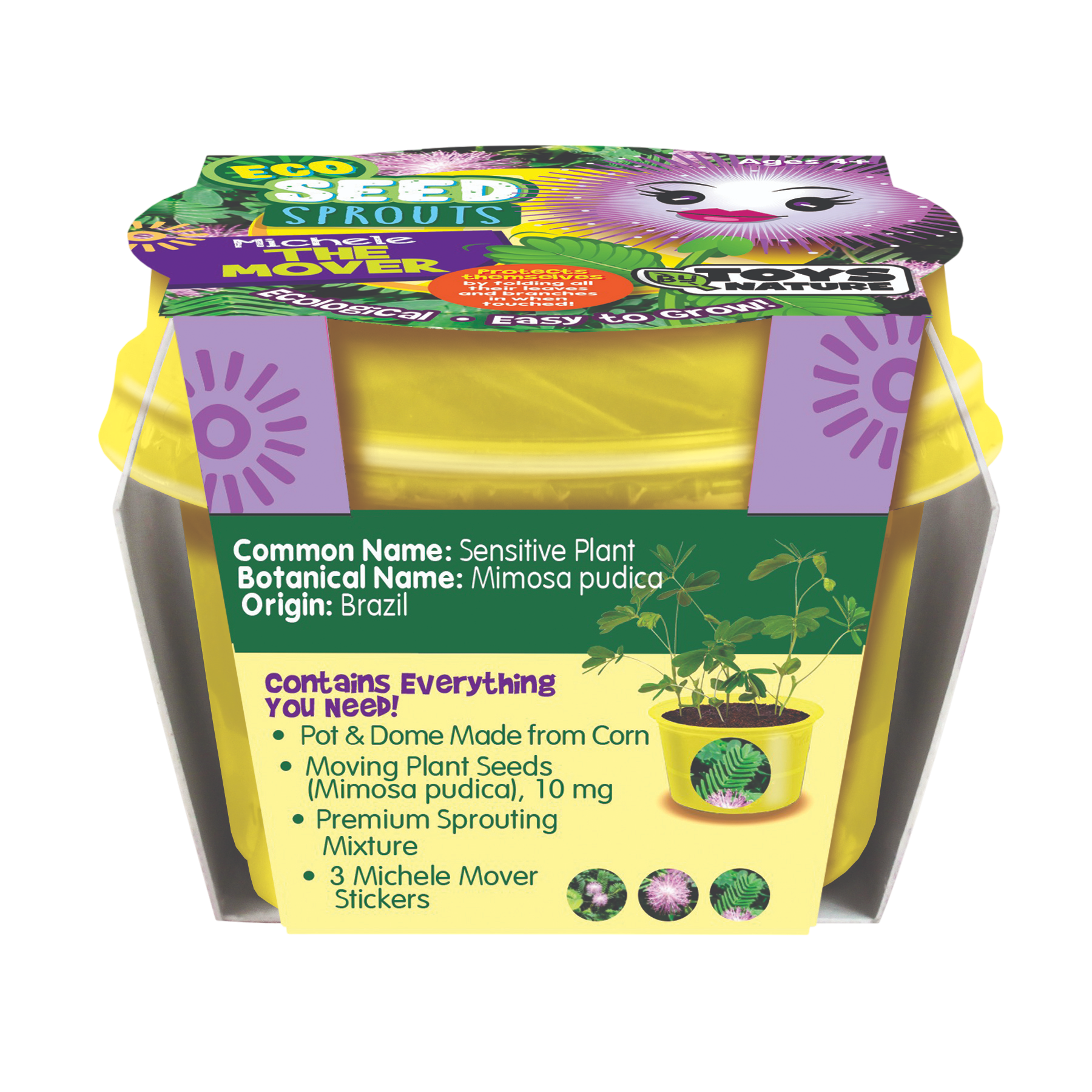 eco plant seeds Eco Seed Sprouts 6 Variety Assortment Pack – 1 of Each
