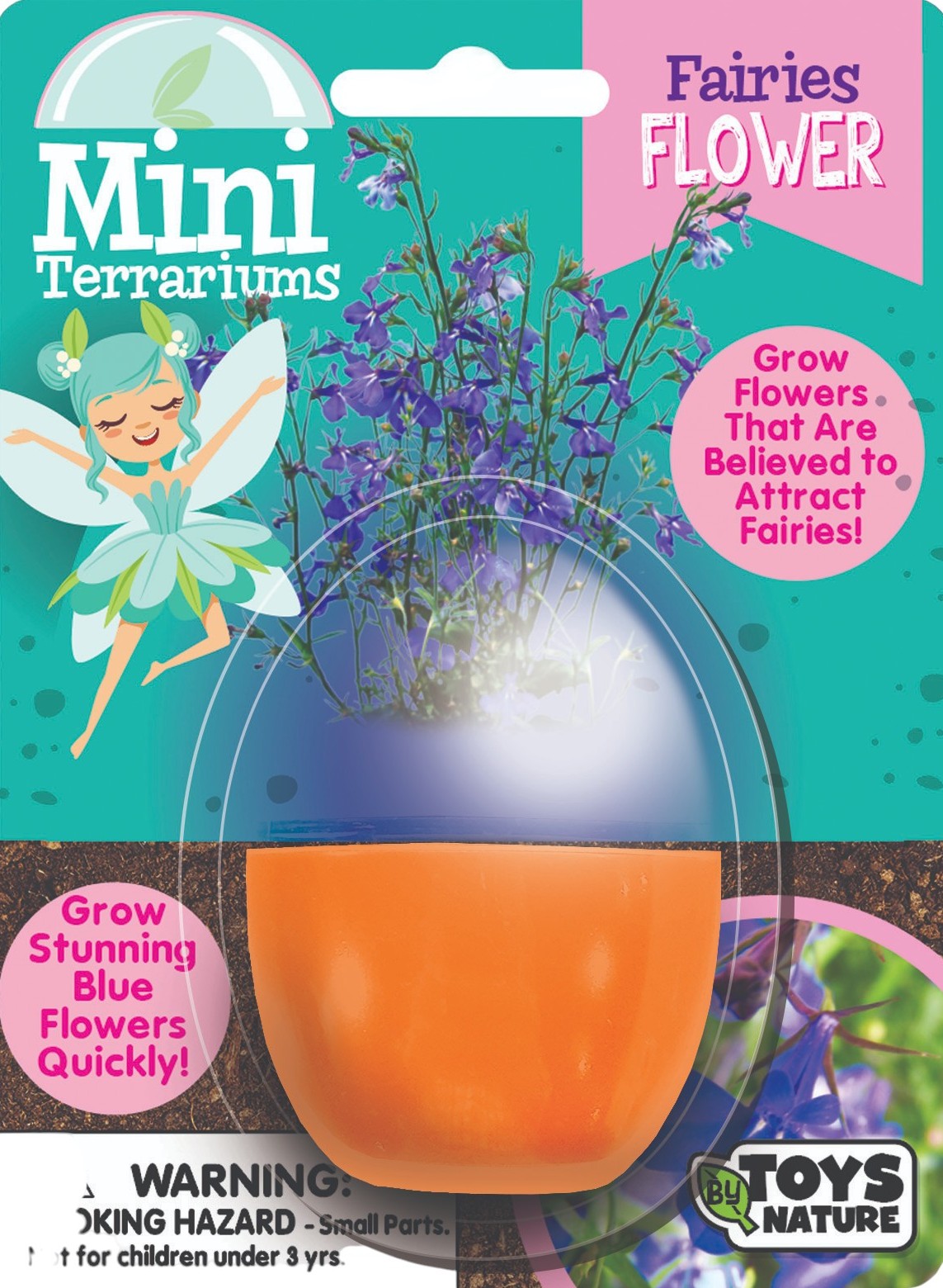 Flowering Mini Terrarium Bundle - 2 Each of 3 Varieties