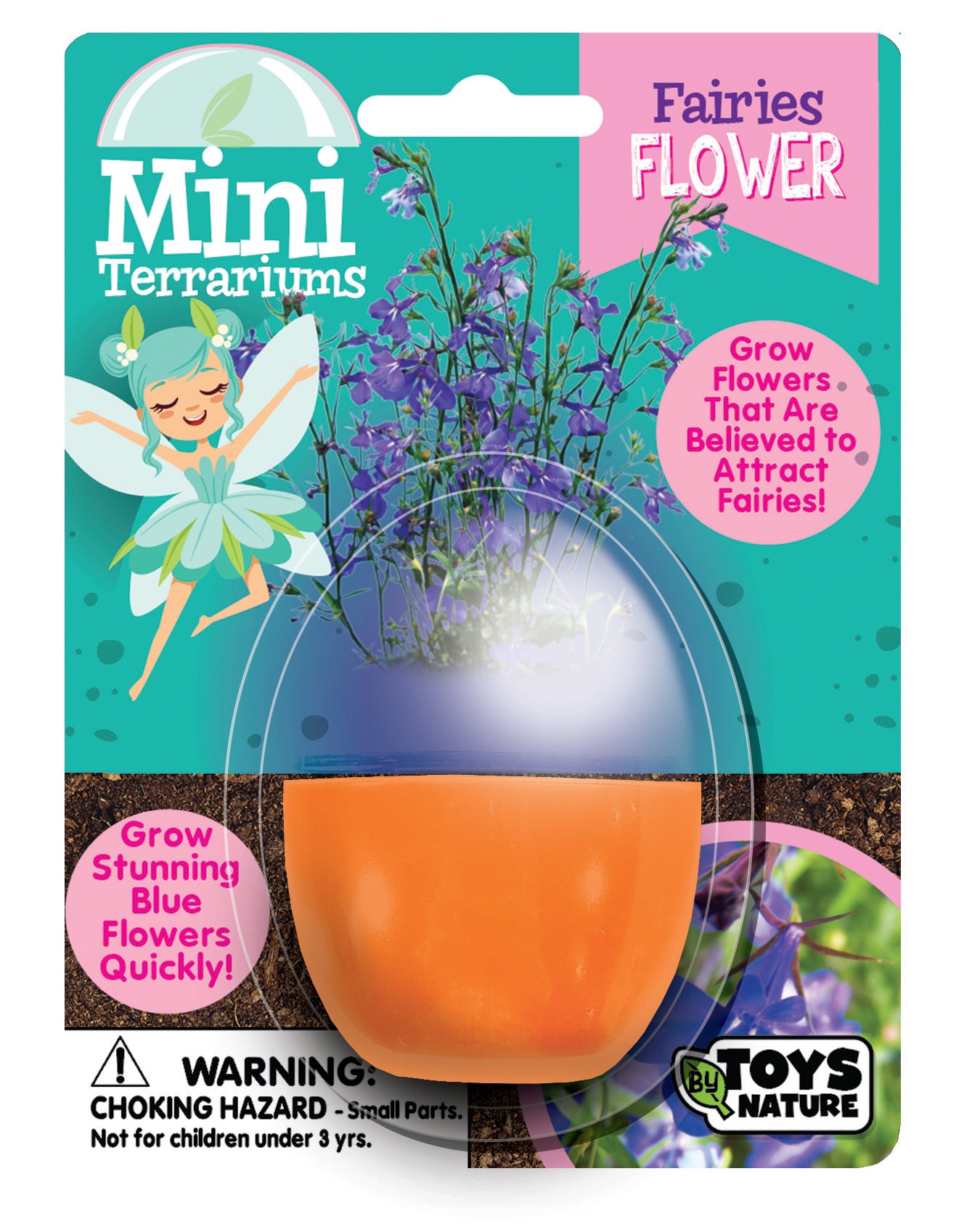 Mini Terrarium Bundle - 1 Each of 7 Varieties